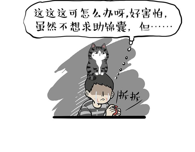 《吾皇巴扎黑》漫画最新章节第219话 少年侠.你给我爬！免费下拉式在线观看章节第【46】张图片