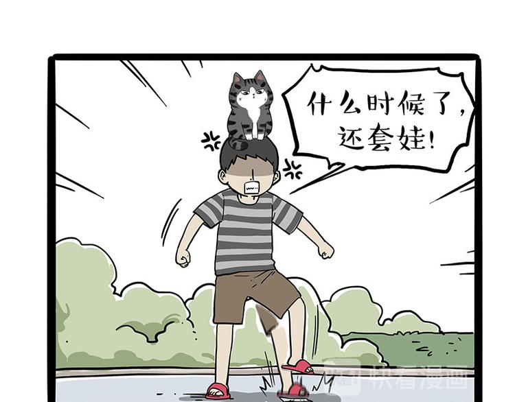 《吾皇巴扎黑》漫画最新章节第219话 少年侠.你给我爬！免费下拉式在线观看章节第【49】张图片