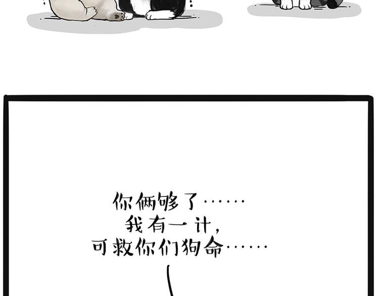 《吾皇巴扎黑》漫画最新章节第220话 拆家没怕过谁免费下拉式在线观看章节第【28】张图片