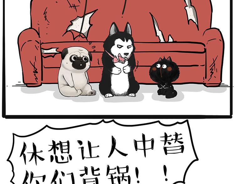 《吾皇巴扎黑》漫画最新章节第220话 拆家没怕过谁免费下拉式在线观看章节第【7】张图片