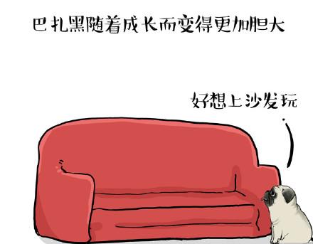 《吾皇巴扎黑》漫画最新章节第23话 这是巴扎黑的专场！免费下拉式在线观看章节第【21】张图片