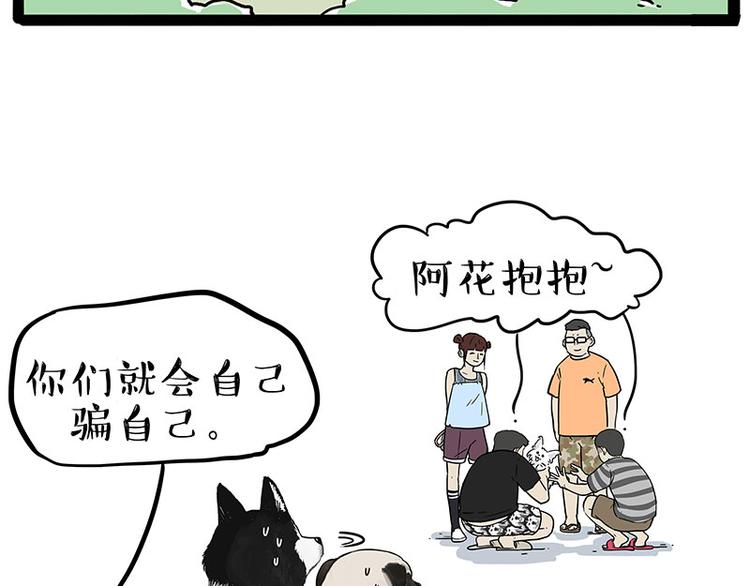 《吾皇巴扎黑》漫画最新章节第223话 狗知识增加了免费下拉式在线观看章节第【10】张图片