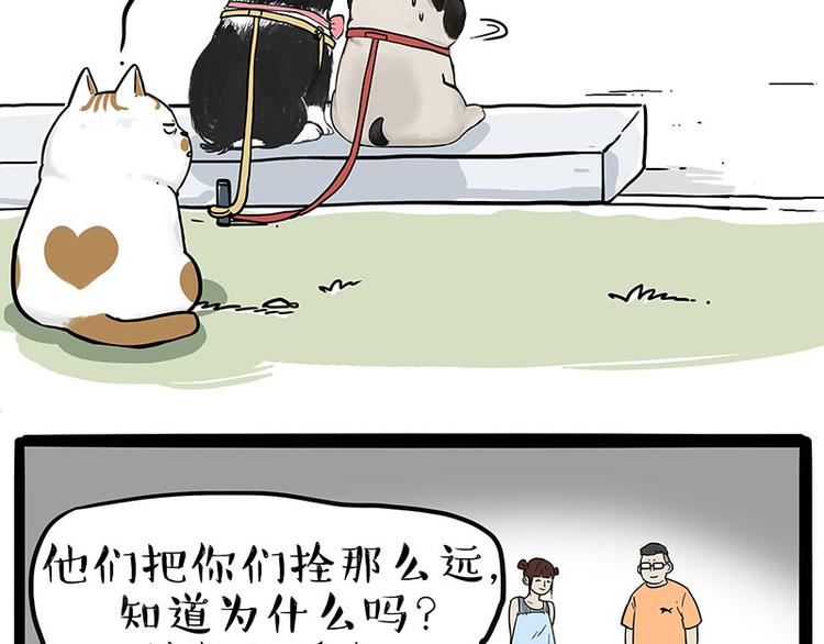 《吾皇巴扎黑》漫画最新章节第223话 狗知识增加了免费下拉式在线观看章节第【11】张图片