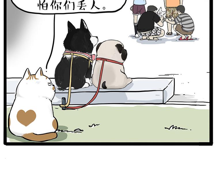《吾皇巴扎黑》漫画最新章节第223话 狗知识增加了免费下拉式在线观看章节第【12】张图片