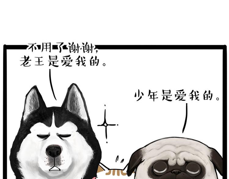 《吾皇巴扎黑》漫画最新章节第223话 狗知识增加了免费下拉式在线观看章节第【26】张图片