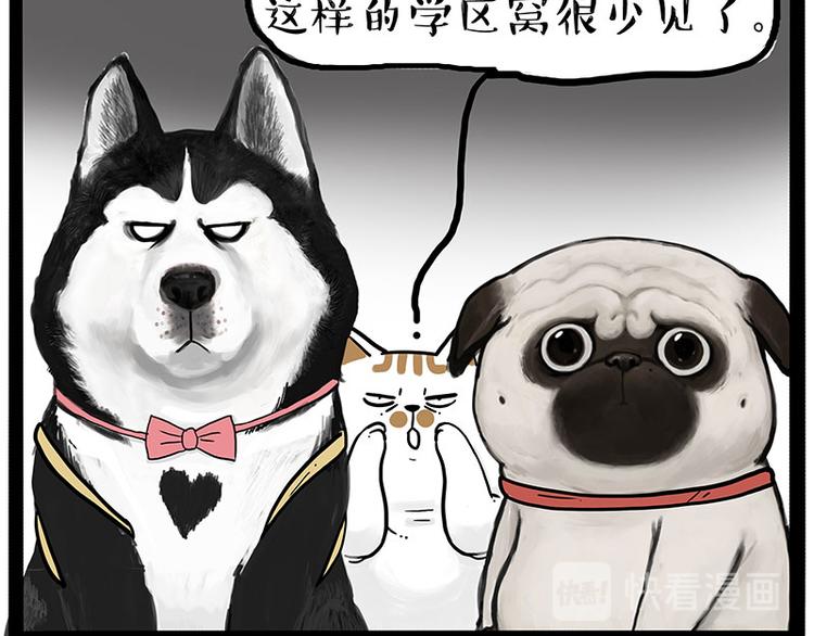 《吾皇巴扎黑》漫画最新章节第223话 狗知识增加了免费下拉式在线观看章节第【28】张图片