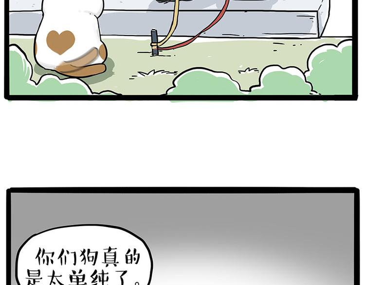 《吾皇巴扎黑》漫画最新章节第223话 狗知识增加了免费下拉式在线观看章节第【5】张图片