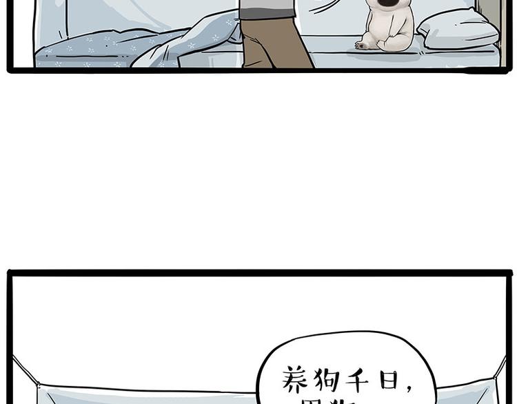 《吾皇巴扎黑》漫画最新章节第224话 吾皇驱蚊大法免费下拉式在线观看章节第【5】张图片