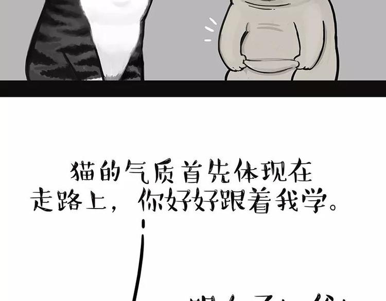 《吾皇巴扎黑》漫画最新章节第227话 丑狗宿命免费下拉式在线观看章节第【11】张图片