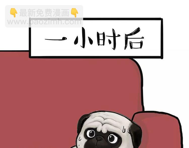 《吾皇巴扎黑》漫画最新章节第227话 丑狗宿命免费下拉式在线观看章节第【13】张图片