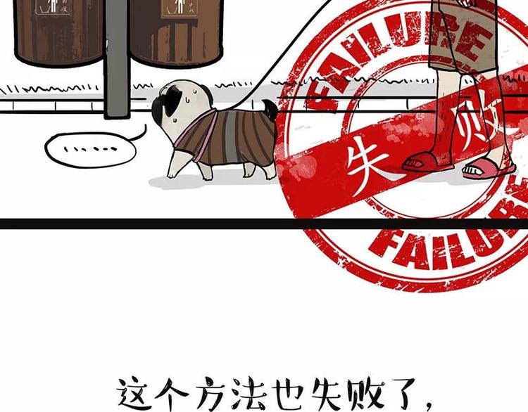 《吾皇巴扎黑》漫画最新章节第227话 丑狗宿命免费下拉式在线观看章节第【23】张图片