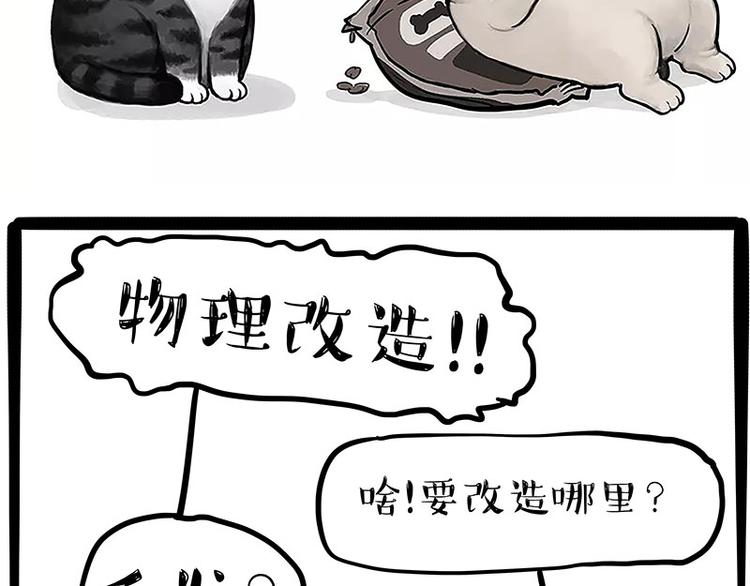 《吾皇巴扎黑》漫画最新章节第227话 丑狗宿命免费下拉式在线观看章节第【43】张图片