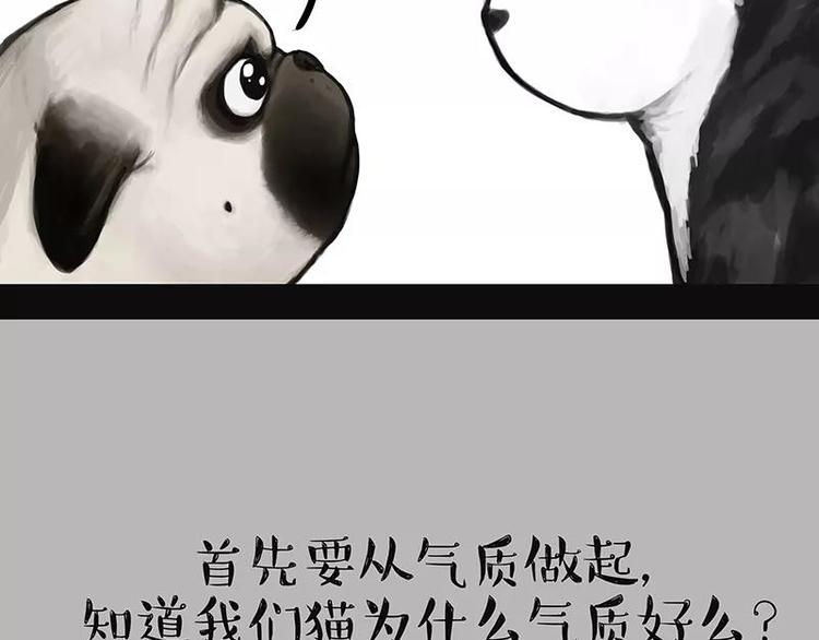 《吾皇巴扎黑》漫画最新章节第227话 丑狗宿命免费下拉式在线观看章节第【8】张图片