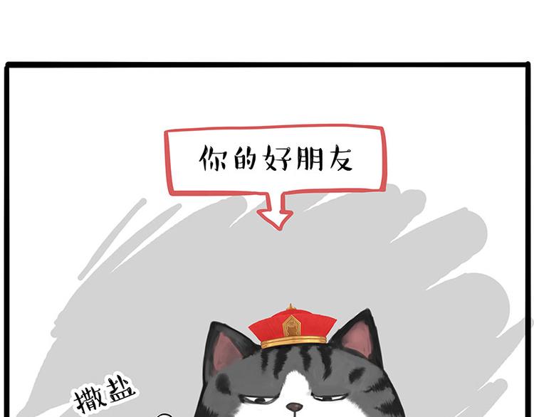 《吾皇巴扎黑》漫画最新章节第228话 想摸我？免费下拉式在线观看章节第【13】张图片