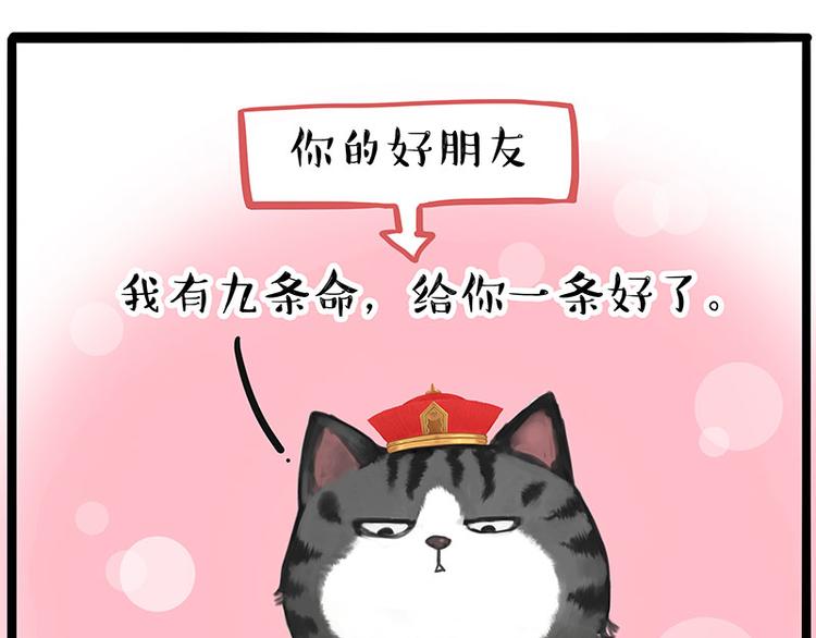 《吾皇巴扎黑》漫画最新章节第228话 想摸我？免费下拉式在线观看章节第【18】张图片