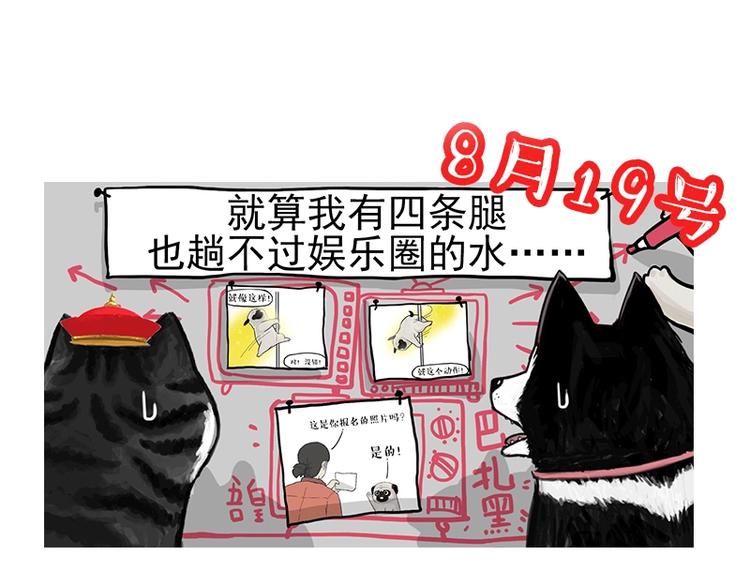 《吾皇巴扎黑》漫画最新章节第229话 条纹衫是你的命免费下拉式在线观看章节第【34】张图片