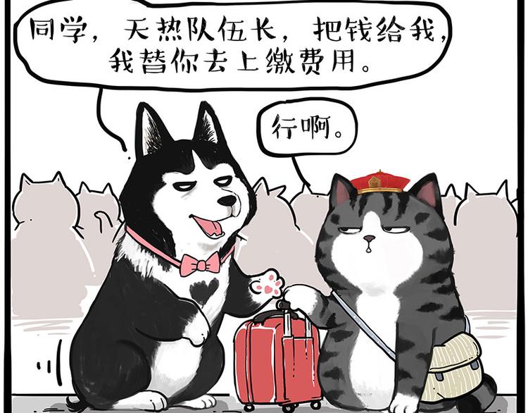 《吾皇巴扎黑》漫画最新章节第231话 防骗指南免费下拉式在线观看章节第【10】张图片