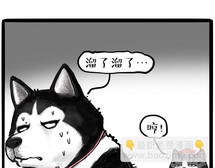 《吾皇巴扎黑》漫画最新章节第231话 防骗指南免费下拉式在线观看章节第【13】张图片