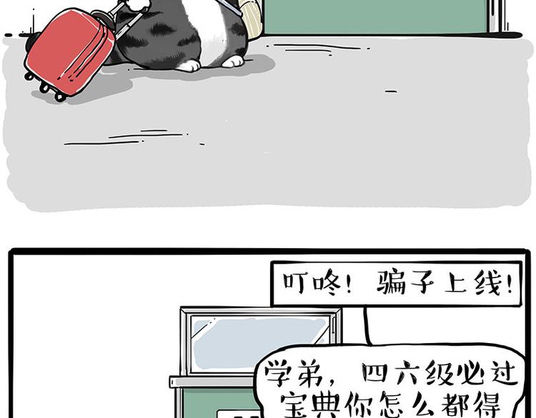 《吾皇巴扎黑》漫画最新章节第231话 防骗指南免费下拉式在线观看章节第【23】张图片