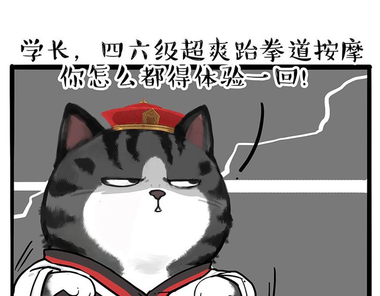 《吾皇巴扎黑》漫画最新章节第231话 防骗指南免费下拉式在线观看章节第【25】张图片