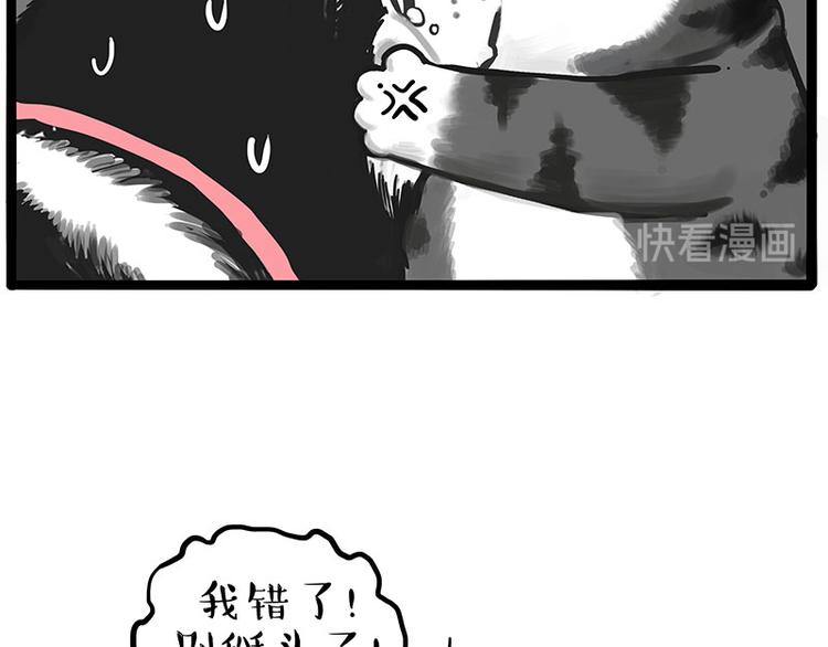 《吾皇巴扎黑》漫画最新章节第231话 防骗指南免费下拉式在线观看章节第【39】张图片