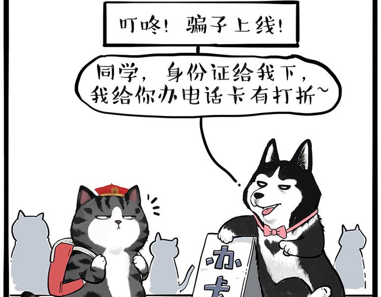 《吾皇巴扎黑》漫画最新章节第231话 防骗指南免费下拉式在线观看章节第【43】张图片