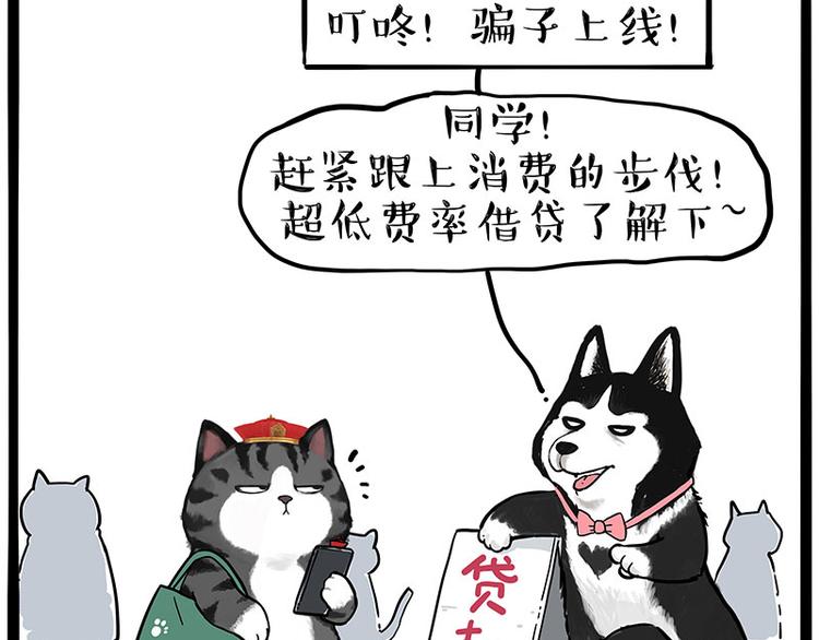 《吾皇巴扎黑》漫画最新章节第231话 防骗指南免费下拉式在线观看章节第【49】张图片