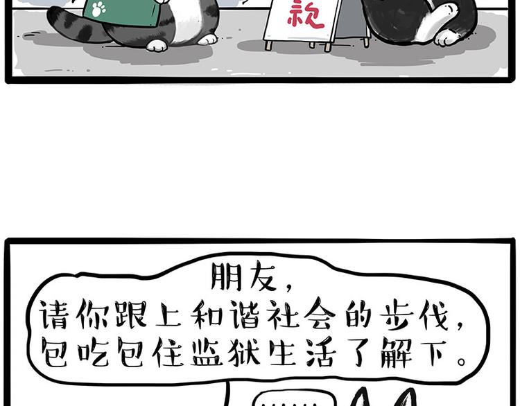 《吾皇巴扎黑》漫画最新章节第231话 防骗指南免费下拉式在线观看章节第【50】张图片