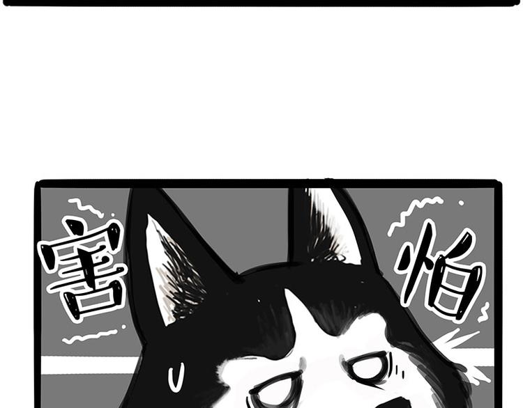 《吾皇巴扎黑》漫画最新章节第231话 防骗指南免费下拉式在线观看章节第【6】张图片