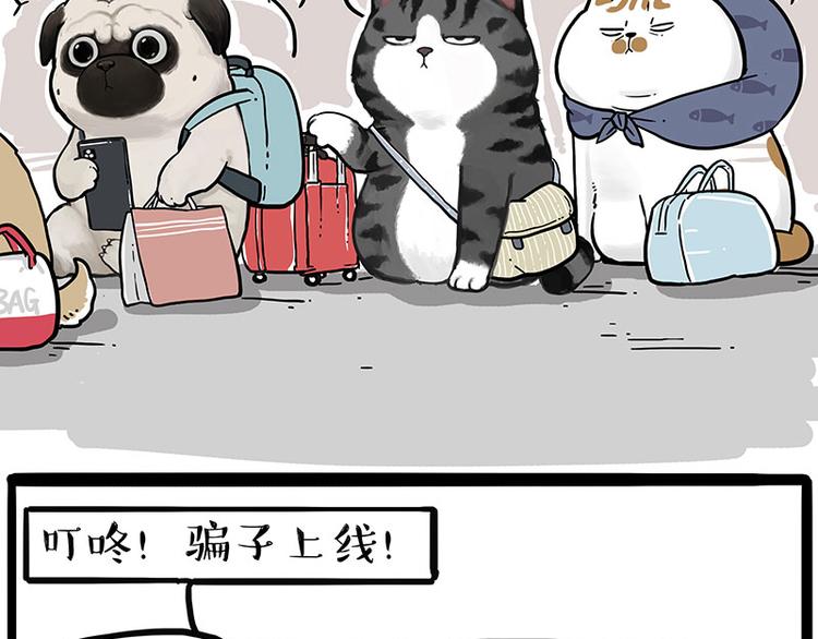 《吾皇巴扎黑》漫画最新章节第231话 防骗指南免费下拉式在线观看章节第【9】张图片