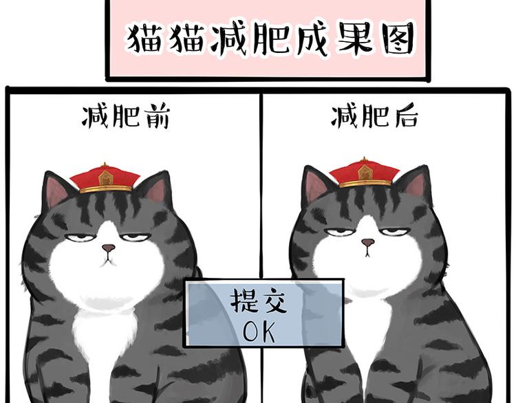 《吾皇巴扎黑》漫画最新章节第233话 你太飘了免费下拉式在线观看章节第【17】张图片