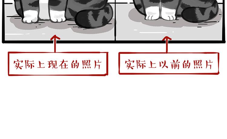 《吾皇巴扎黑》漫画最新章节第233话 你太飘了免费下拉式在线观看章节第【18】张图片