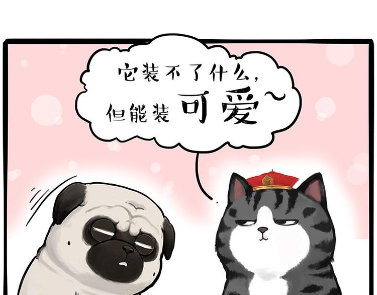 《吾皇巴扎黑》漫画最新章节第233话 你太飘了免费下拉式在线观看章节第【6】张图片