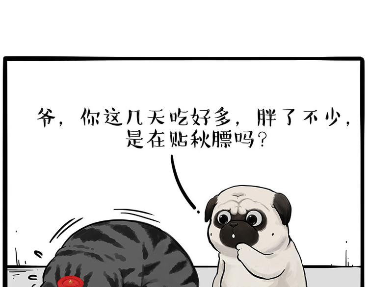 《吾皇巴扎黑》漫画最新章节第233话 你太飘了免费下拉式在线观看章节第【8】张图片