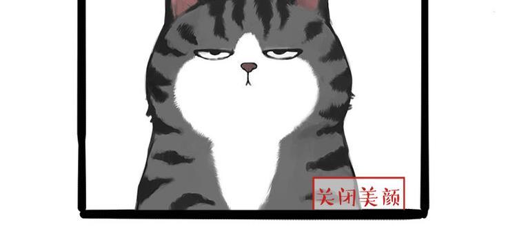 《吾皇巴扎黑》漫画最新章节第236话 国庆全攻略免费下拉式在线观看章节第【61】张图片