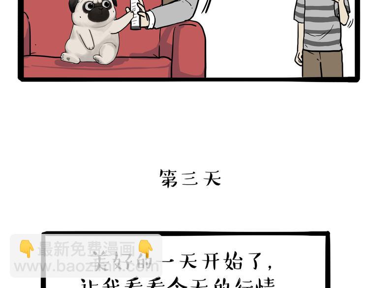 《吾皇巴扎黑》漫画最新章节第237话 股神巴扎黑免费下拉式在线观看章节第【40】张图片