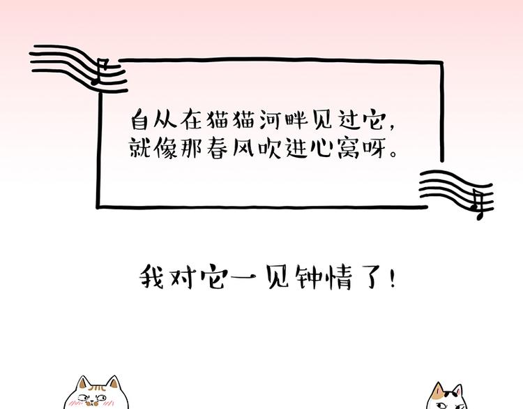 《吾皇巴扎黑》漫画最新章节第238话 吾皇的爱情“喵”招免费下拉式在线观看章节第【10】张图片