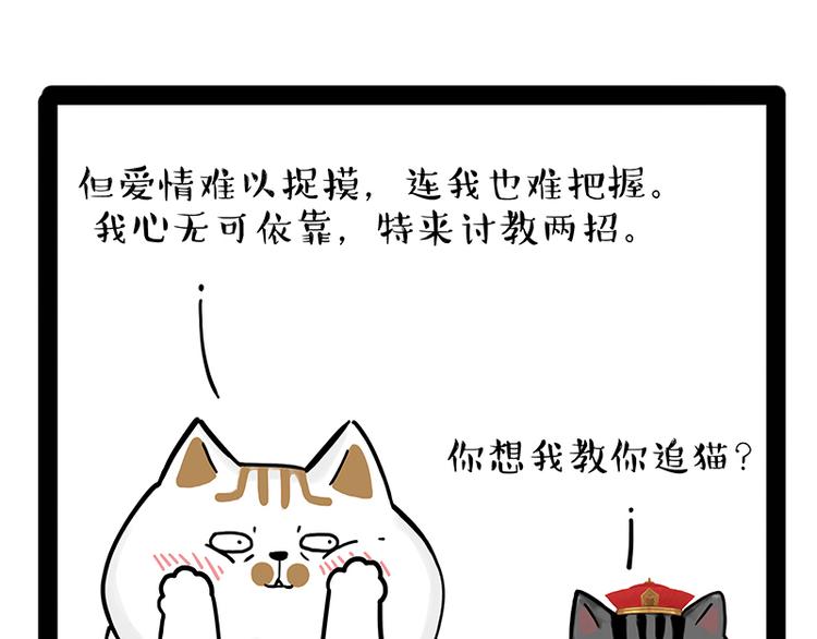 《吾皇巴扎黑》漫画最新章节第238话 吾皇的爱情“喵”招免费下拉式在线观看章节第【12】张图片