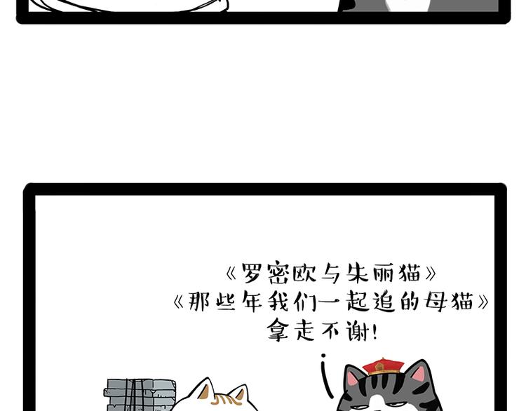 《吾皇巴扎黑》漫画最新章节第238话 吾皇的爱情“喵”招免费下拉式在线观看章节第【48】张图片