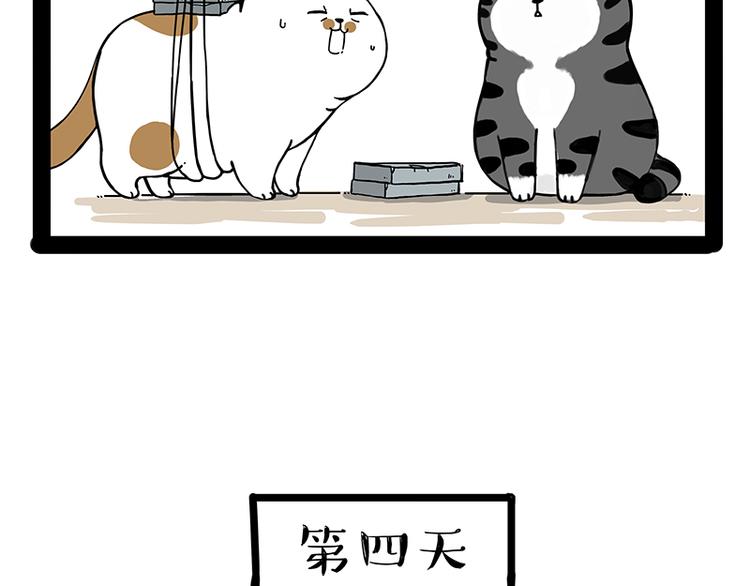 《吾皇巴扎黑》漫画最新章节第238话 吾皇的爱情“喵”招免费下拉式在线观看章节第【49】张图片