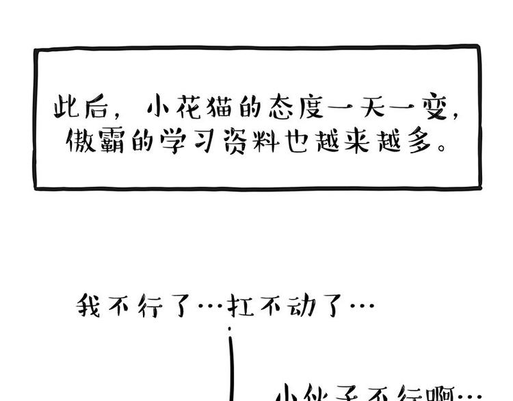 《吾皇巴扎黑》漫画最新章节第238话 吾皇的爱情“喵”招免费下拉式在线观看章节第【55】张图片