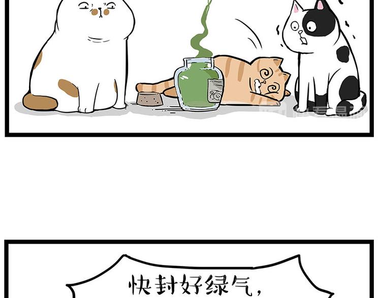 《吾皇巴扎黑》漫画最新章节第239话 “屁”的战争免费下拉式在线观看章节第【17】张图片