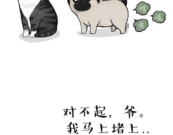 《吾皇巴扎黑》漫画最新章节第240话 放屁第一名免费下拉式在线观看章节第【20】张图片