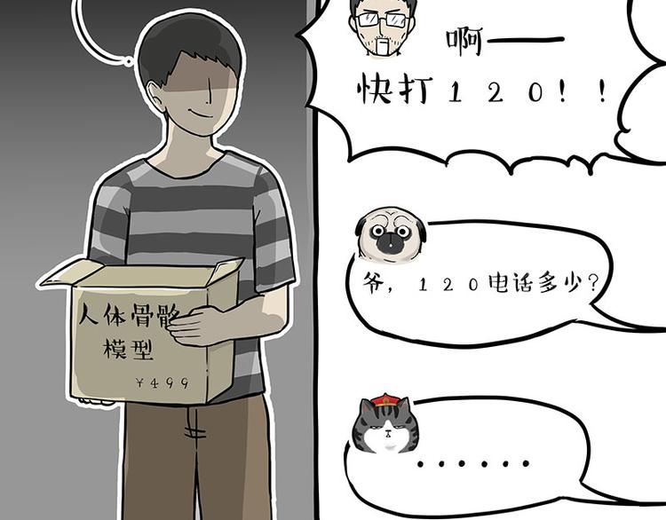 《吾皇巴扎黑》漫画最新章节第241话 有吓成“骷髅”免费下拉式在线观看章节第【38】张图片