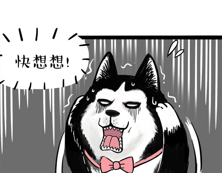 《吾皇巴扎黑》漫画最新章节第242话 拆的就是你家免费下拉式在线观看章节第【41】张图片