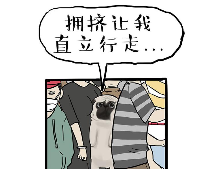 《吾皇巴扎黑》漫画最新章节第244话 好家伙，黑衣人？免费下拉式在线观看章节第【10】张图片