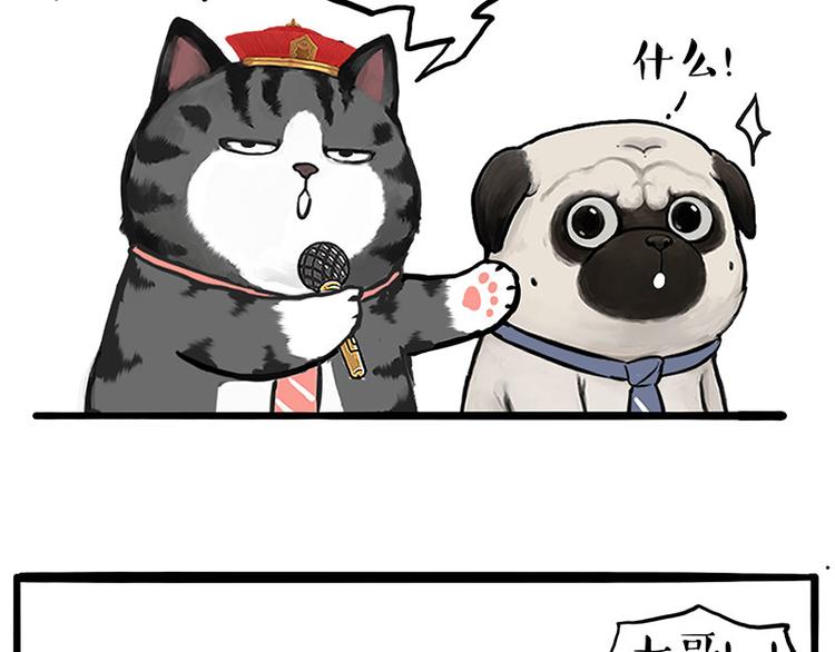 《吾皇巴扎黑》漫画最新章节第245话 真上天了免费下拉式在线观看章节第【22】张图片