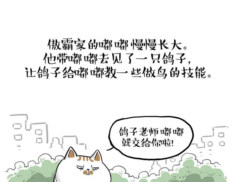 《吾皇巴扎黑》漫画最新章节第246话 你被踢了免费下拉式在线观看章节第【1】张图片