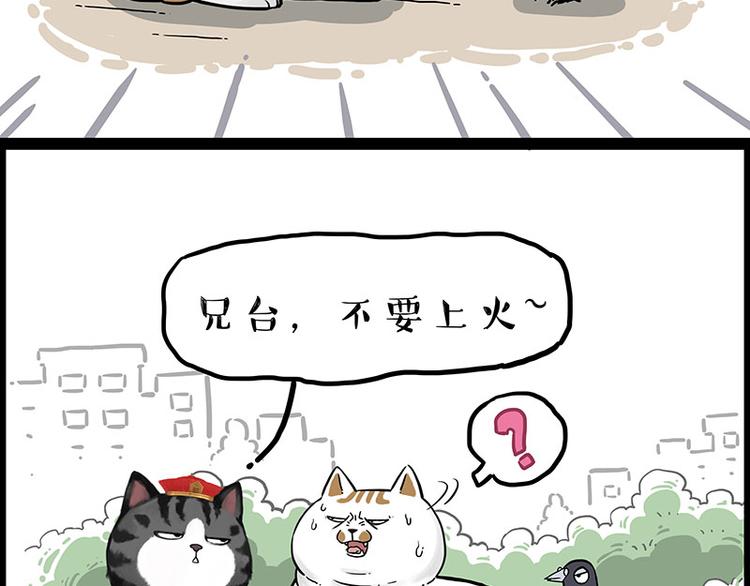 《吾皇巴扎黑》漫画最新章节第246话 你被踢了免费下拉式在线观看章节第【20】张图片