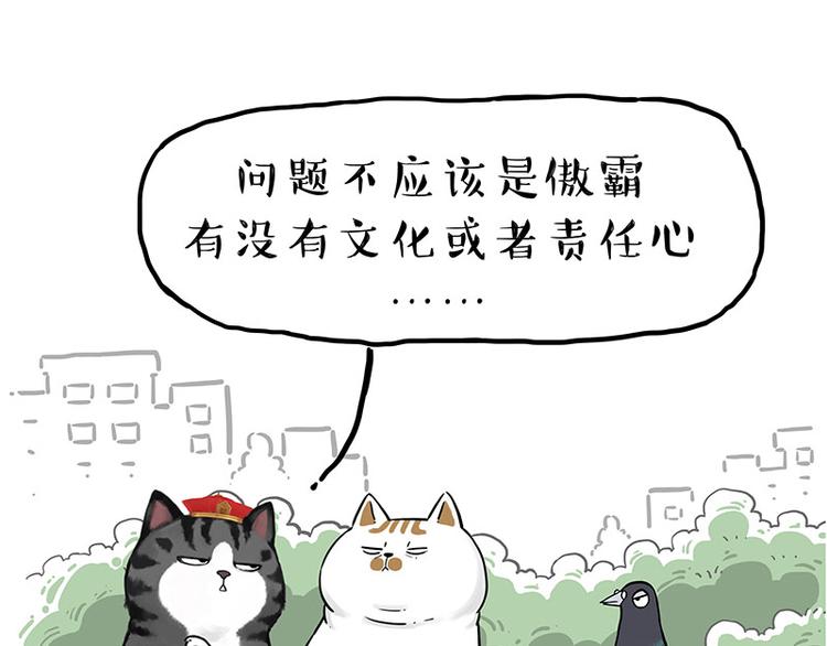 《吾皇巴扎黑》漫画最新章节第246话 你被踢了免费下拉式在线观看章节第【23】张图片